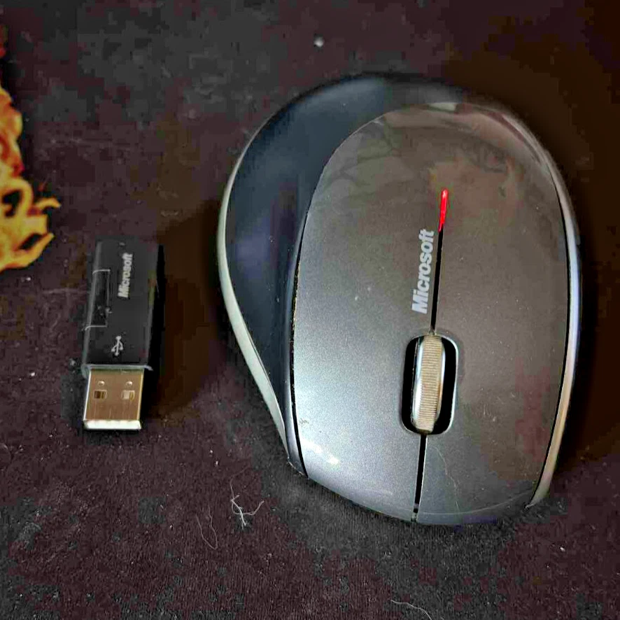 Microsoft Maus Explorer - Bild 1 von 2