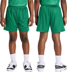 YOUTH KIDS Mesh 5 Inch Inseam Shorts Team Gym Basketball Moisture Wicking XS-XL - Picture 1 of 14