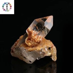 TOP GRADE Natural Rutile Flowers & Phantom Crystal Lodolite In Quartz Specimen - Bild 1 von 5