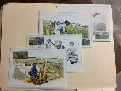 South Africa 1982 Ciskei, Pineapple Growing on cards with stamps 8c,15c,20c,30c - Image 1 of 4