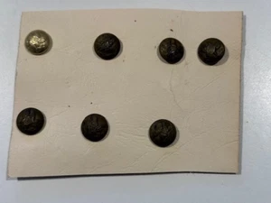 Lot of 7 Antique Brass Eagle Buttons About 1/2" No marking on the back - Picture 1 of 4