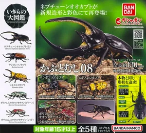 NEW BANDAI Living Creatures Encyclopedia Kabutomushi 08 Full Complete from japan - Picture 1 of 12