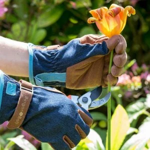 Burgon & Ball Love the Glove Denim - Picture 1 of 3