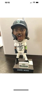JAMES WOOD BOBBLEHEAD WILMINGTON BLUE ROCKS SGA 21/06/25 WASHINGTON NATIONALS - Imagen 1 de 2