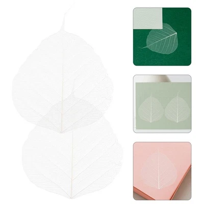 Foglie secche materiali artigianali 20 pezzi scheletro fatto a mano per biglietti di auguri - Immagine 1 di 4