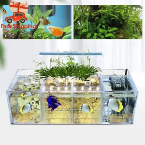 Aquaponic Fish Tank 4-Grid Desktop Fish Tank Rectangle Acrylic Betta Fish Tank - Picture 1 of 18