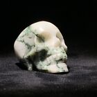 Natural Agate Skull Quartzite Crystal Carved Skull Gem Reiki Healing A606