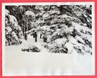 1942 US Army Mountain Troops Winter Camouflage Paradise Valley Washington Photo
