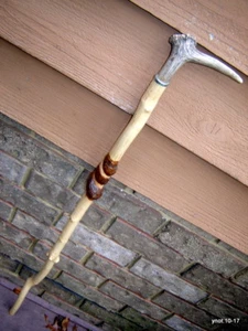 rare DOGWOOD twisty walking-stick/cane~Fallow Deer grip~2 embedded jewels~gift - Picture 1 of 8