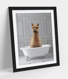LLAMA EN BAÑERA - PÓSTER ENMARCADO ARTE PÓSTER IMAGEN IMPRESIÓN BAÑO OBRAS DE ARTE - Imagen 1 de 10