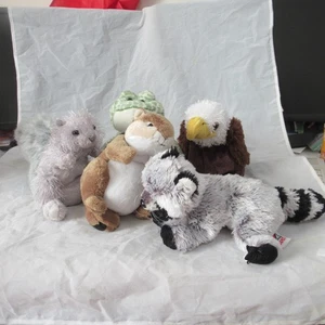 Ganz Webkinz Peluche LOTE DE 5 Ardilla ardilla águila mapache rana SIN CÓDIGOS - Imagen 1 de 18