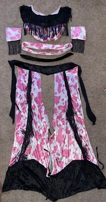 New Sexy Velour Hot Pink COWGIRL Adult Women’s Costume Medium Large TZ - Image 1 of 4