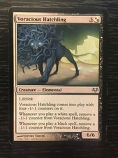 MTG 1x Voracious Hatchling White Black Eventide Magic the Gathering Card