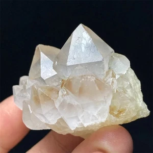 57g Rare Tibet Himalayan Elestial Clear Point Lemurian Crystal Cluster - Bild 1 von 5