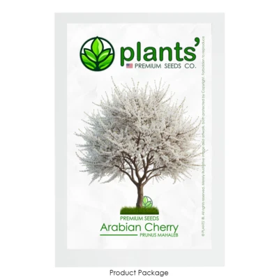 Flor de cerezo árabe | Semillas premium | Prunus mahaleb 'Primavera' | Plantas'® Foto 1 de 4