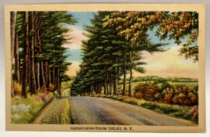 Saludos desde Delhi, Nueva York, Nueva York, postal vintage - Imagen 1 de 2