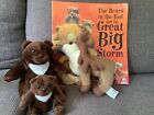 The Bears In The Bed And The Great Big Storm Story Sack Teaching Resource & Sack