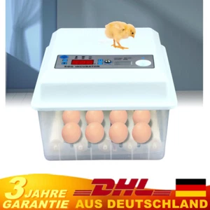 Incubadora totalmente automática 16 huevos incubadora de superficie incubadora incubadora - Imagen 1 de 12