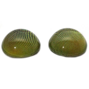 Par Cúpula Alta Compuesto Verde Libélula Media Esfera Ojos de Vidrio Taxidermia Joyería - Imagen 1 de 7