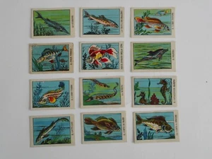 ***SERIE DI 12 FIGURINE ANTEGUERRA*** PESCI (SCRITTA NERA) - Bild 1 von 2