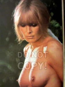 Foto 8x10 Linda Evans sexy "The Big Valley" estrella de televisión pin-up foto 1969 edad 27 - Imagen 1 de 1