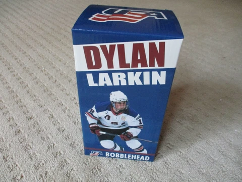 DYLAN LARKIN TEAM USA ARENA EXCLUSIVE BOBBLEHEAD SGA 2021 NIB DET. RED WINGS * Cover