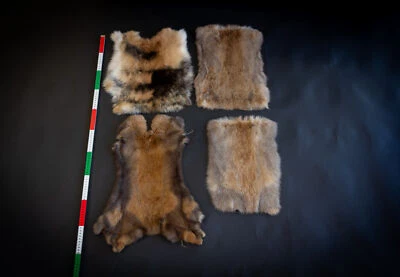 Gegerbte Kaninchenfelle | Fell Pelz Echtfell Kaninpelz Kaninchen Kaninchenpelz - Bild 1 von 3