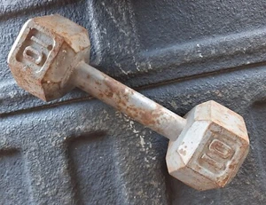 One Single 10 Lb Dumbbell Cast Iron Metal Hex Hand Weight Lifting Ten Pounds Lbs - Picture 1 of 4