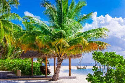 Arte de pared paradise tropical palmeras en la playa decoración del hogar - PÓSTER 20x30 Foto 1 de 4