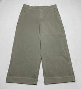 SPANX Stretch Twill Cropped Wide Leg Pants Women’s 2XL Sage Green 20312R 2X XXL - Picture 1 of 8