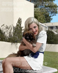 LANA TURNER UMARMT EINEN PEKINGESE HUND SCHÖNES FARBFOTO VON CHIP SPRINGER - Bild 1 von 1