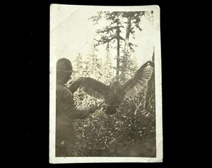 EULENMÄNNER HALTEN EULE VON FLÜGELJÄGERN? DEAD OR ALIVE? HAUSTIER? UNGEWÖHNLICHER SCHNAPPSCHUSS - Bild 1 von 2