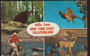 Hallo Form New York State Vacationland NY. Chrom Postkarte - Bild 1 von 2