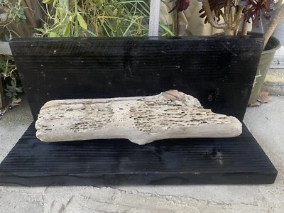 Driftwood Clean Natural Aquarium Loose Wood. Aquatic Or Reptile Use - Image 1 of 4