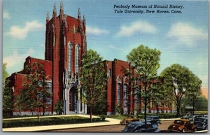 Postcard New Haven Connecticut Peabody Museum Nathural History Yale University - Bild 1 von 2