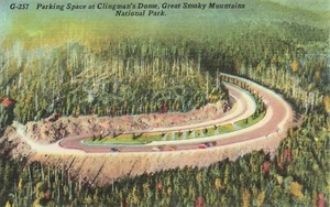 Parking Space at Clingman's Dome Great Smoky Mtn. National Park, TN Vintage Line - Picture 1 of 2