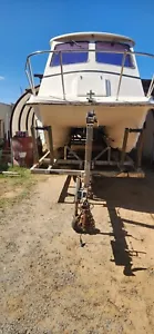6 Metre Fibre-glass Shark Cat w/Trailer and 2 x 150HP Yamaha Motors (300hrs) - Picture 1 of 7