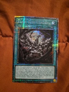 Black Rose Garden (Starlight Rare) DOOD-DE055 Doom of Dimensions 1st Edition - Bild 1 von 2