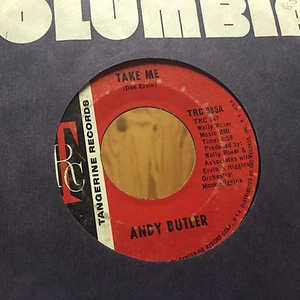 Andy Butler Take Me Sunshine Love 45 Soul Tangerine Monk Higgins Samples Breaks - Imagen 1 de 2