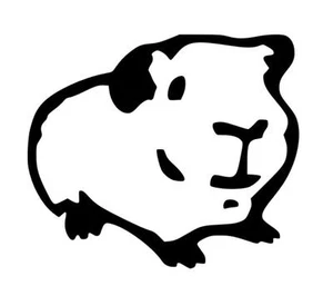 GUINEA PIG CAR WALL LAPTOP WINDOW CAGE HUTCH VINYL DECAL/STICKER ANY COLOUR - Picture 1 of 1
