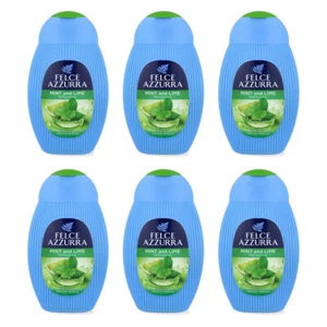 PAGLIERI Felce Azzurra Minze und Limette Duschgel 6x 250 ml - Bild 1 von 6