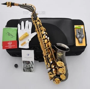 Professional TaiShan 5000 Alto Saxophone Black Nickel Gold Eb Sax Germany Mouth - Picture 1 of 6