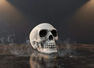 Teschio Decorativo in Plastica 8 cm | Decorazione Halloween Realistica per Casa - Imagen 1 de 5