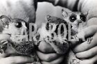 Altes Pressefoto Tiere Lemuren Lemuren Welpen 1958 London Druck 18 X 13 Cm