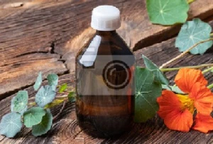 Beinwellwurzel Essenz 300ml - Bild 1 von 1