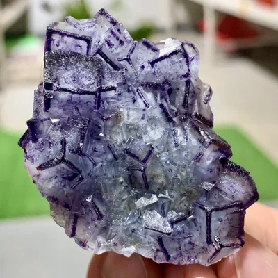 49G Mongolia Interior Fluorita Natural Borde Púrpura Cubo Cristal Mineral Espécimen Foto 1 de 4