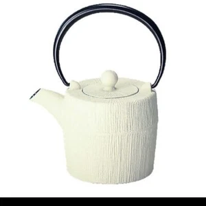 TEAPOT NANBU TEKKI(TETUBIN) IWACHU KYUSU White from Japan F/S w/T - Picture 1 of 5