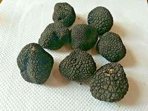 TRUFA NEGRA FRESCA ENGANCHADA II Choice UMBRÍA NEGRA TRUFA NEGRA FRESCA 250gr - Imagen 1 de 5