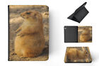 Case Cover For Apple Ipad|fun Classic Cute Hamster