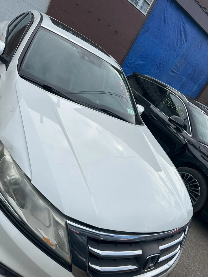 Used Hood fits: 2015 Honda Crosstour  Grade B Foto 1 de 4